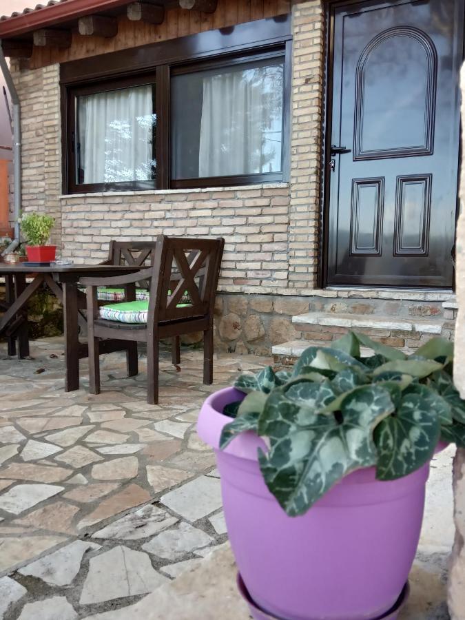 Filanthi Villa Kato Sinikia Trikalon Екстериор снимка